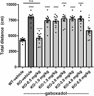 Gaboxadol Normalizes Behavioral Abnormalities in a Mouse Model of Fragile X Syndrome